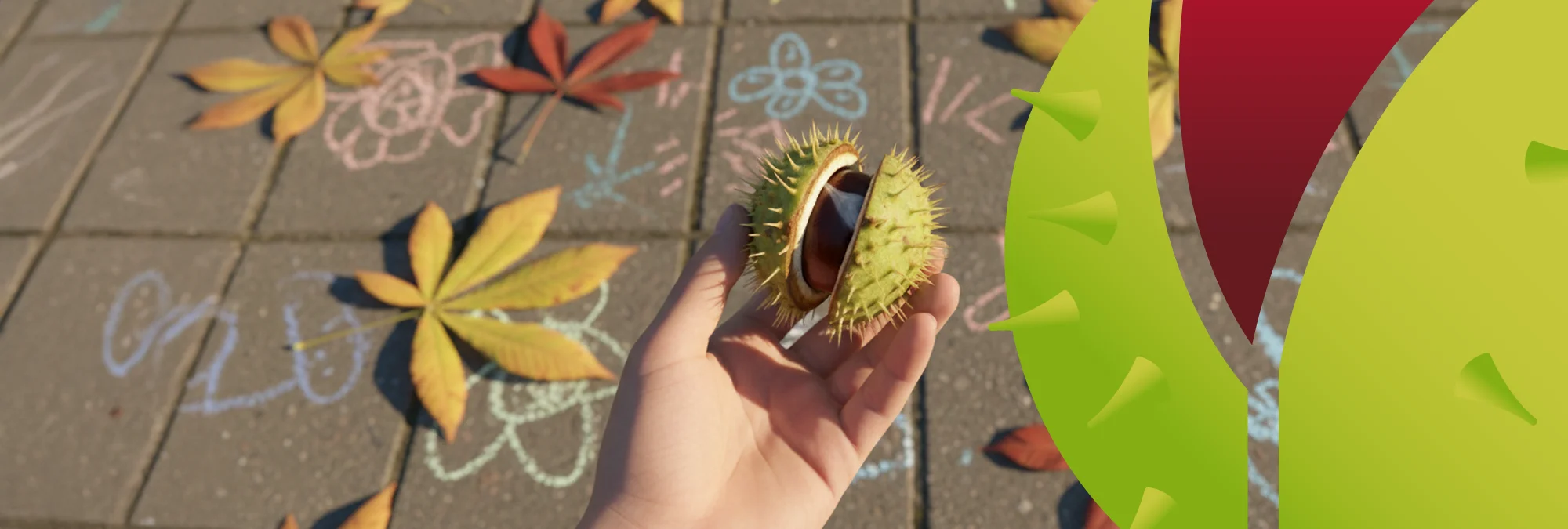 Hero 001